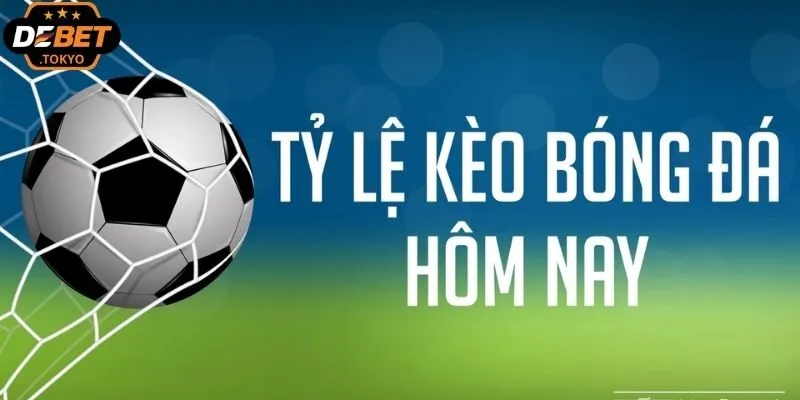 Cách đọc và tính toán tỷ lệ kèo