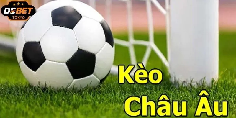Khái niệm và đặc điểm cơ bản của tỷ lệ Châu Âu